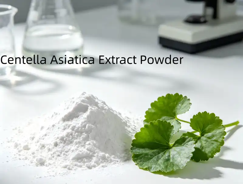 Can Water-Soluble Centella Asiatica Extract Powder Boost Product Absorption?